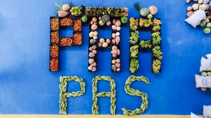 SAF distribui mais de 50 toneladas de alimentos da agricultura familiar a famílias em vulnerabilidade