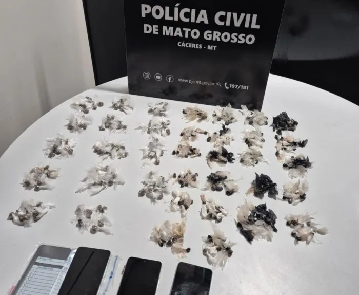 Polícia Civil - MT