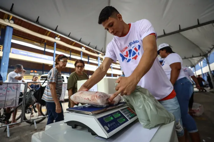 Foto: David Alves / Ag Pará