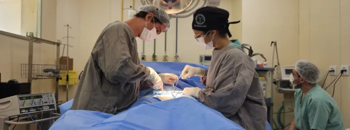 Segunda edição do Opera Mais Fhemig realiza quase 130 procedimentos e segue reduzindo a fila por cirurgia eletiva em Minas 