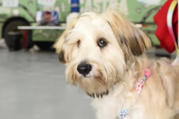 Foto: Reprodução/Secom Paraná