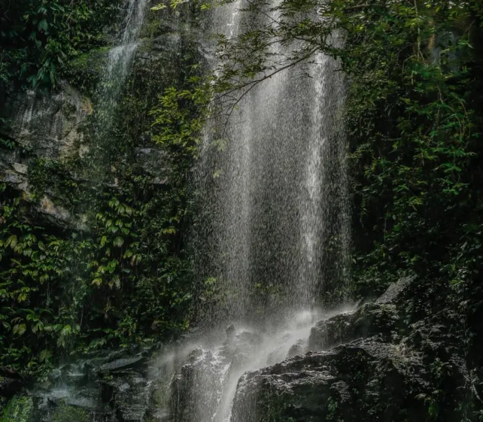 Foto: Reprodução/Secom Piauí