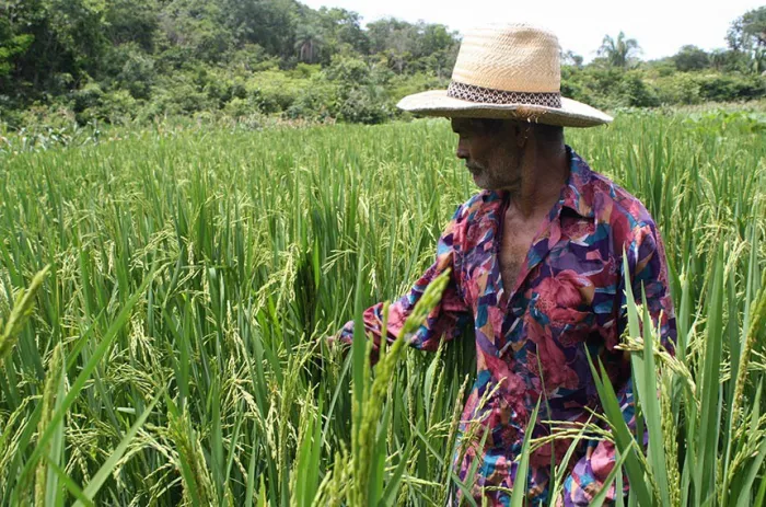  - Foto: Governo do Tocantins