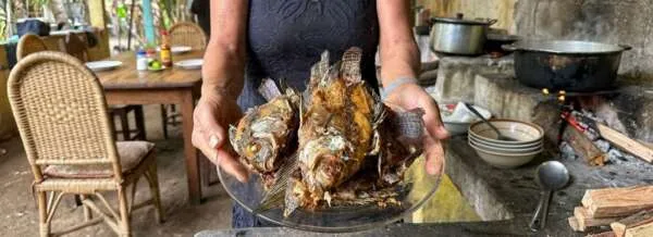 Foto: Reprodução/Secom Ceará