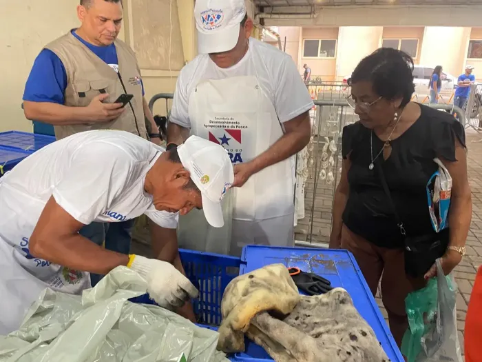 Foto: Mateus Costa/Ascom Sedap