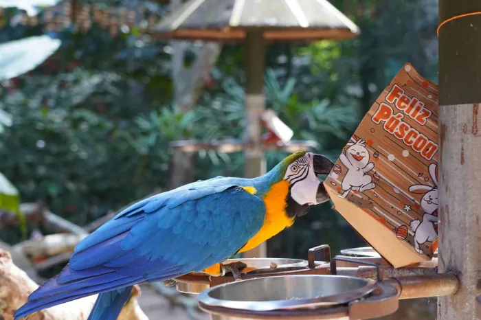 Foto: Parque das Aves