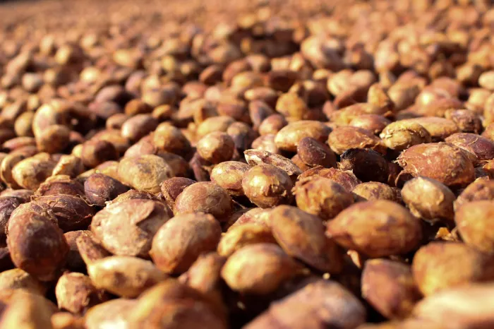  RECA se destaca pelo trabalho junto a agricultura familiar na região (Foto: Luís Castilhos I Secom ALE/RO)