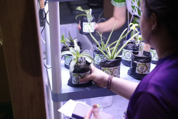 Foto: Reprodução/Agência Amazonas