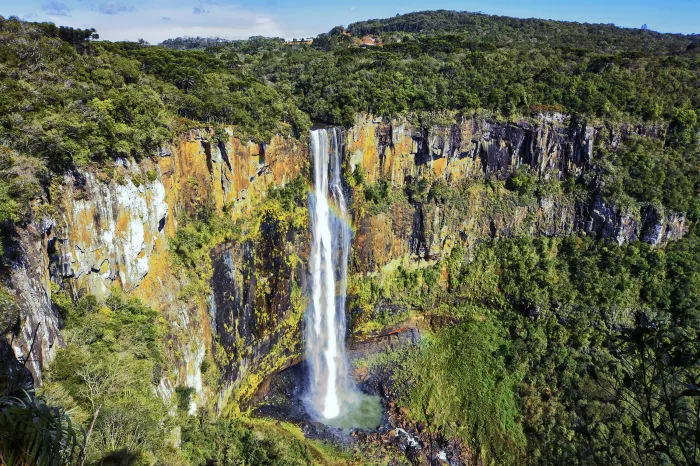 Foto: Reprodução/Secom Paraná