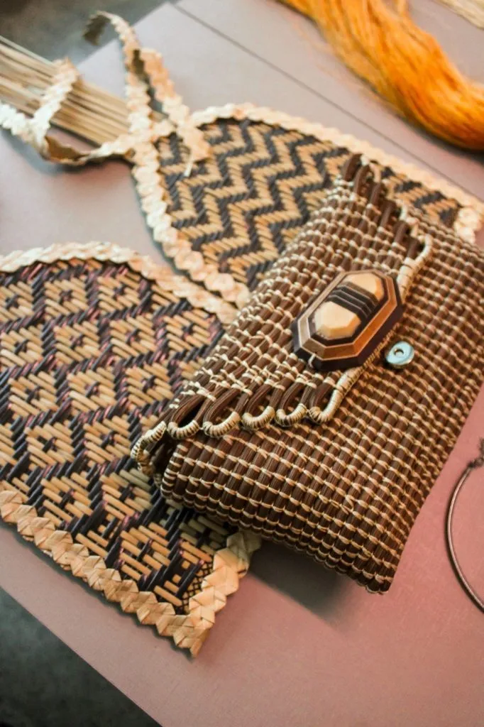 Foto: Reprodução/Agência Amazonas