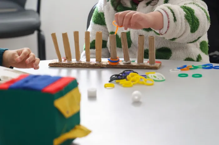 Foto: Reprodução/Secom SC