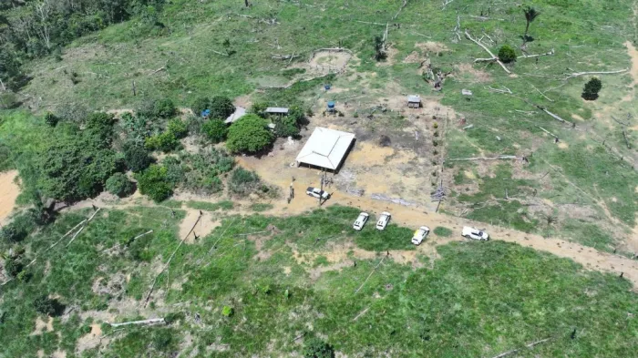 Operação Tamoiotatá 6: Segunda etapa é concluída com mais de R$ 32 milhões em multas por infrações ambientais