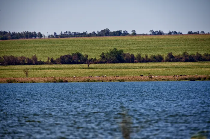 Foto: Reprodução/Secom Paraná
