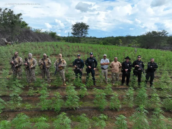 Foto: Reprodução/Secom Piauí