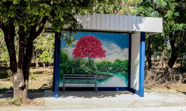 Foto: Reprodução/Prefeitura de Sorriso - MT