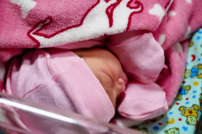 Foto: Diego Garcia / Ag. Pará