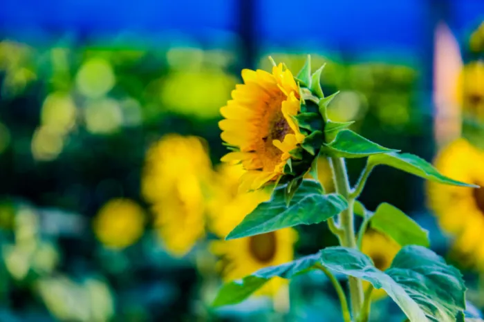 O Domingo de Páscoa é um convite para que a humanidade se volte para o bem e tenha a vida transformada