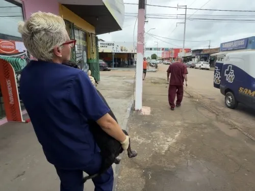 Foto: Reprodução/Prefeitura de Porto Velho - RO