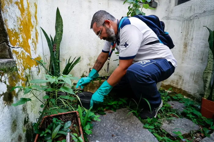 Santa Teresa recebe mais uma ação de combate às arboviroses