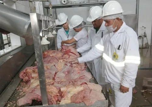 Foto: Reprodução/Prefeitura de Porto Velho - RO