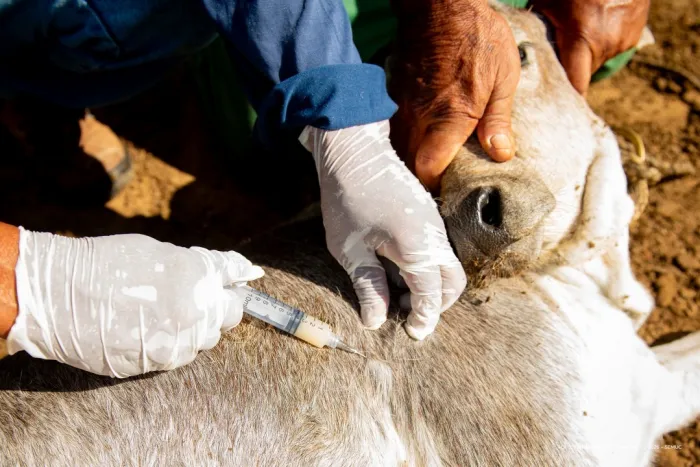 Foto: Reprodução/Prefeitura de Boa Vista - RR