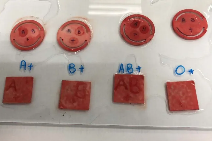 Foto: Reprodução/Secom Paraná