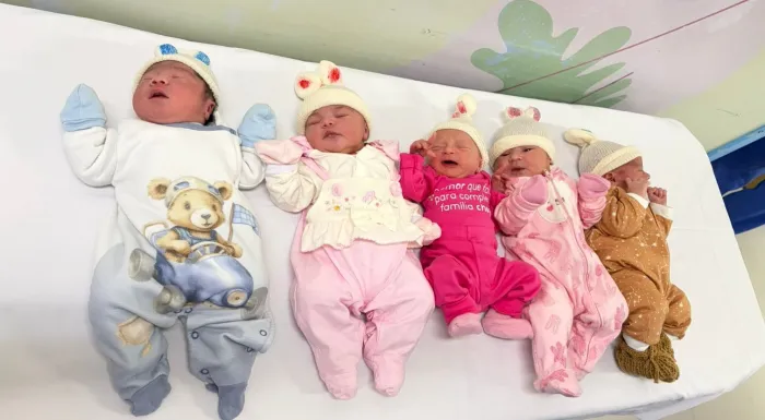 Foto: Reprodução/Secom SC