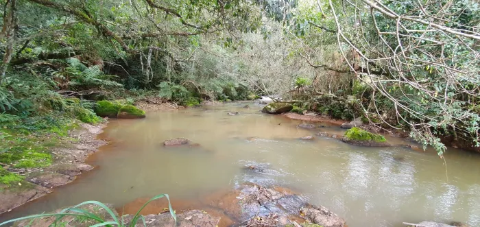 Minas Gerais ganha duas novas reservas ambientais e amplia áreas protegidas
