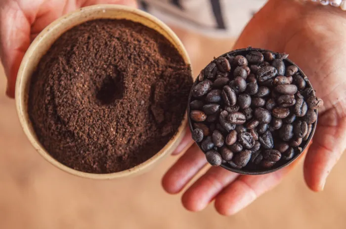 Governo do Acre abre credenciamento para patrocínio da 4ª edição do QualiCafé Acre