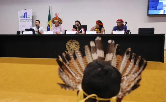 Lideranças defendem indígenas em espaços de decisão e proteção de territórios em seminário na Câmara