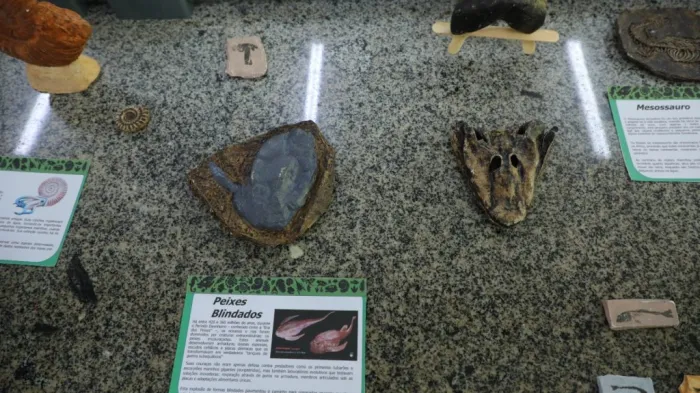 Foto: Reprodução/Agência Amazonas