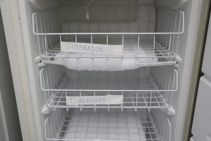 Foto: Reprodução/Sec. de Saúde de Pernambuco