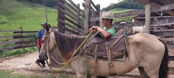 Emater / Divulgação