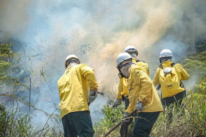 Foto: Reprodução/Secom Acre