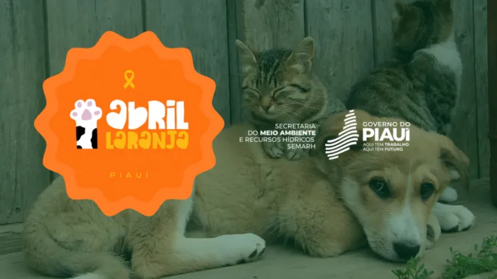 Abril Laranja: Semarh leva serviços gratuitos e ações de proteção animal a Picos, Parnaíba e Teresina