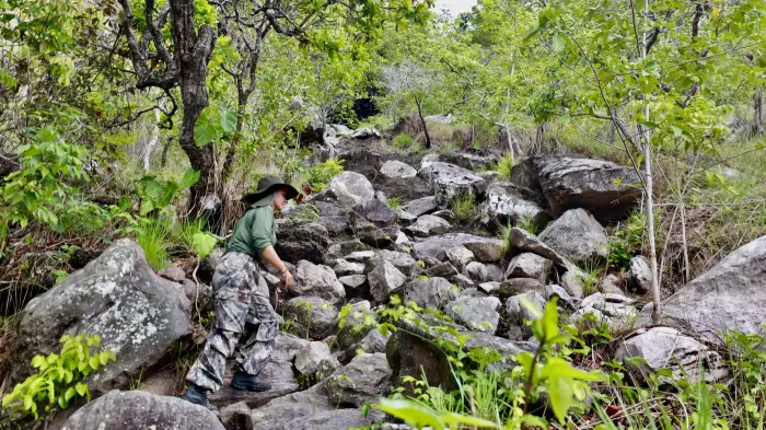 Foto: Bruno Cruz / Ag. Pará