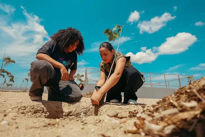 Petrolina conta com plataforma para mapear áreas mais quentes do município