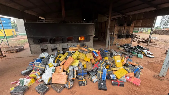 Em Mundo Novo, Polícia Civil incinera mais de 6 toneladas de drogas apreendidas