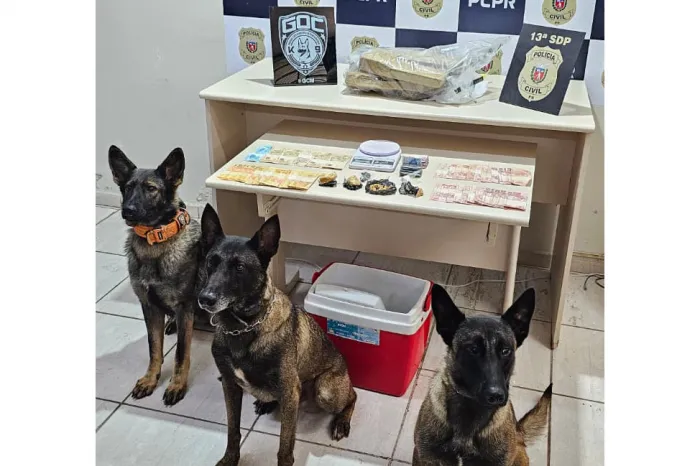 Foto: Reprodução/Secom Paraná