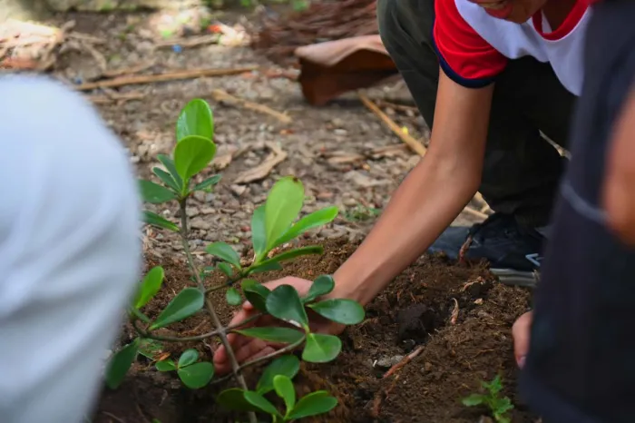 Foto: Reprodução/Prefeitura de Vitória da Conquista - BA
