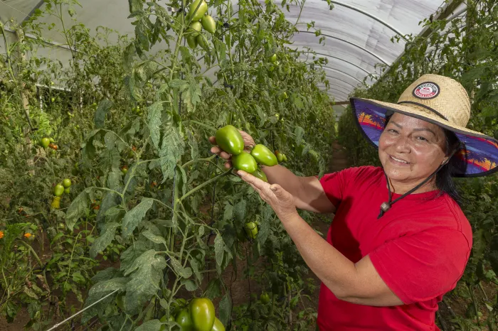 Foto: Hedeson Alves/TECPAR