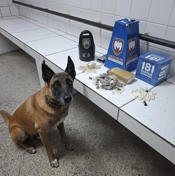 6º BPM apreende entorpecentes na Serra