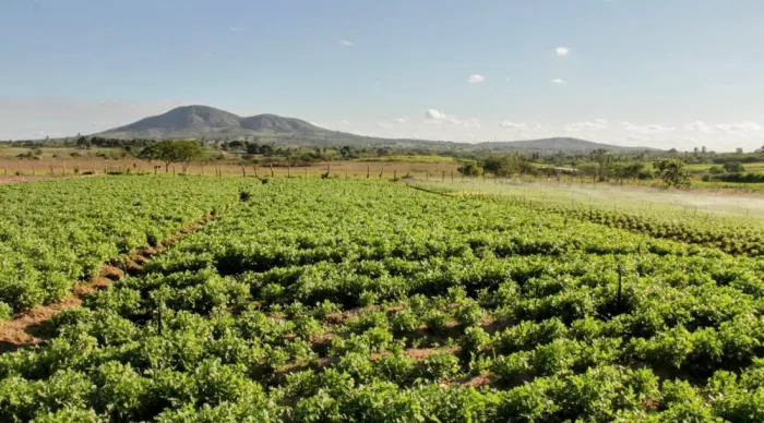 Fotos: Ascom Coderse