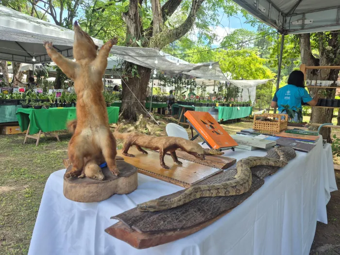 Estande do IMA/AL leva educação ambiental à Exposição de Orquídeas e Bromélias de Alagoas