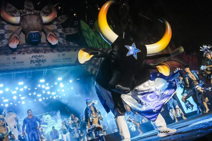 Foto: Reprodução/Agência Amazonas