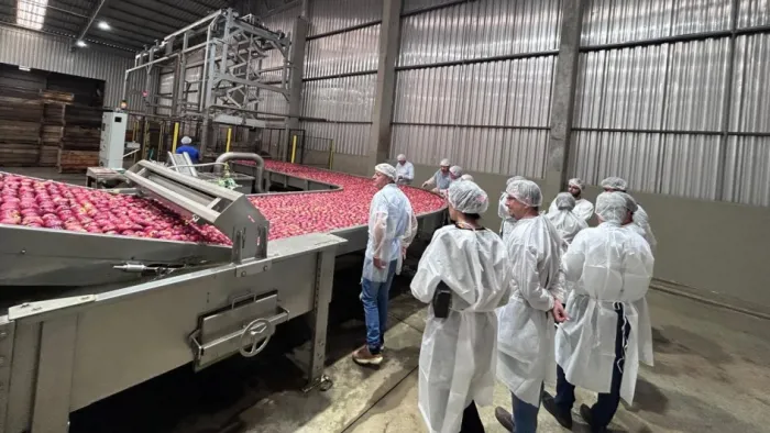 Governo do Estado recebe missão internacional para avaliar abertura de mercado cubano para a maçã gaúcha