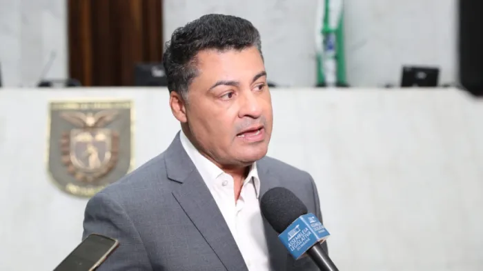 Projeto de lei no Paraná propõe incluir animais de estimação em medidas protetivas para casos de violência doméstica