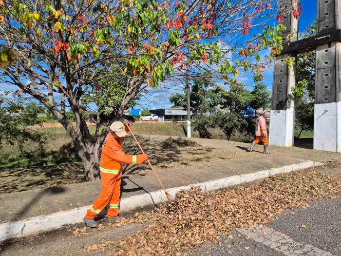 SSAM: Equipes realizam limpeza em pontos da Rodovia Transamazônica e Folha 30