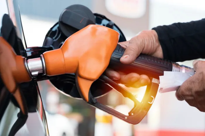 Divulgação/Freepik