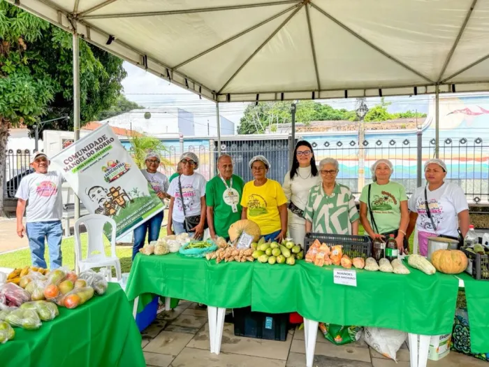 Quitanda da Agricultura Familiar realiza comercialização de alimentos saudáveis no Palácio de Karnak